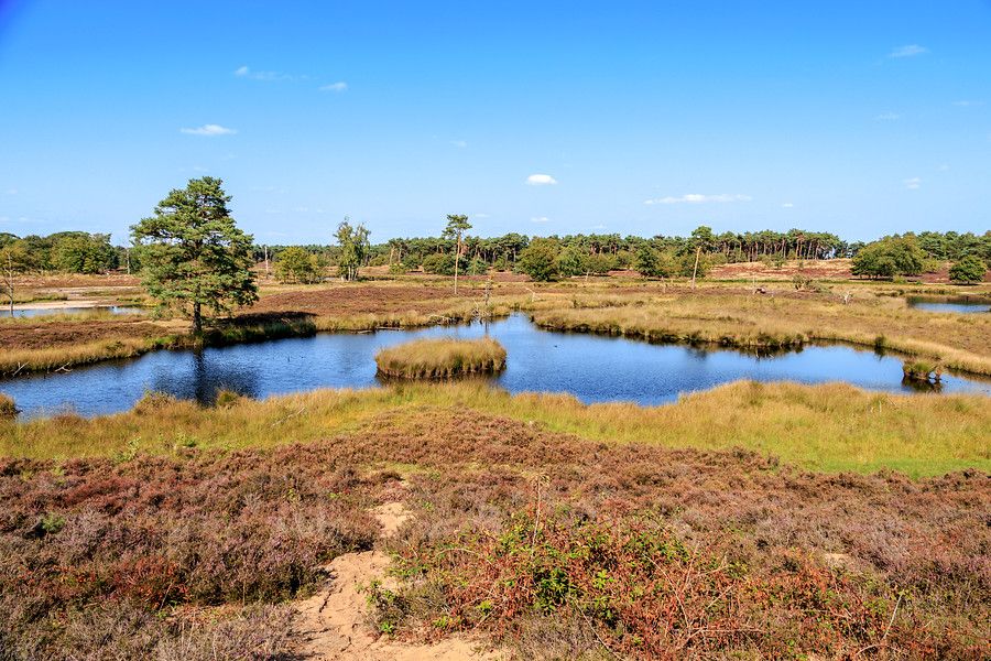 Werkgroep Praktisch Natuurbeheer Rijk van Nijmegen Werkgroep Praktisch Natuurbeheer Rijk van Nijmegen