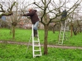 25 Img_7850_108