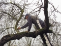 26 Img_7851_108