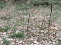 Img_3379b_107