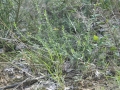 _nik3563_107