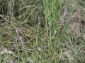 15 _nik3585_107
