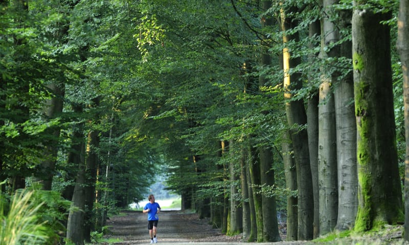 Doe mee met onze natuurwerkochtenden op Heumensoord!