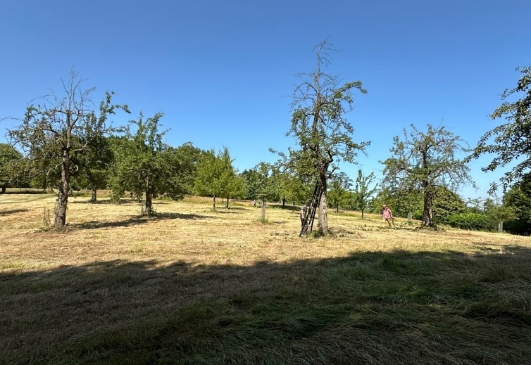 Palland